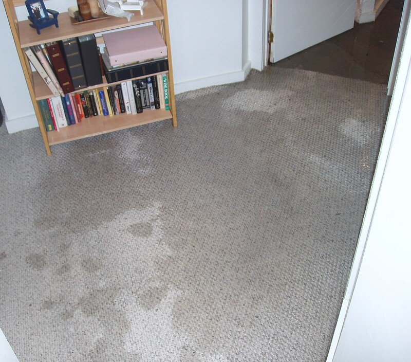 4 Causes of Water Damage in Your Home