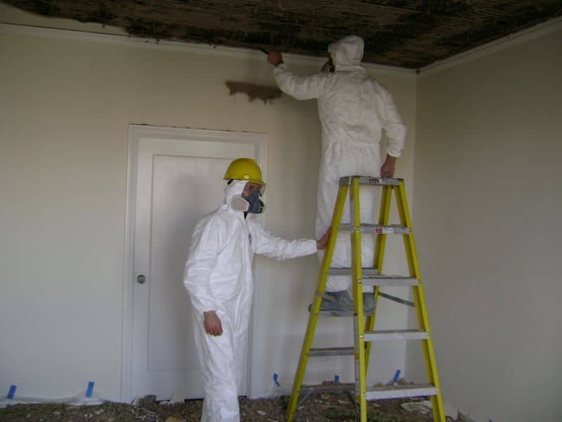 Why Choose Zona for Complete Mold Removal and Remediation Services
