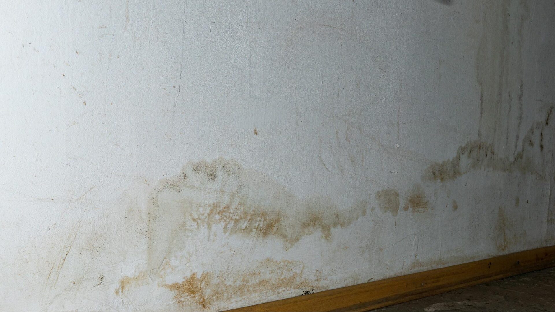 PDFAfter the Flood: Mold-Specific Resources - HHS.gov