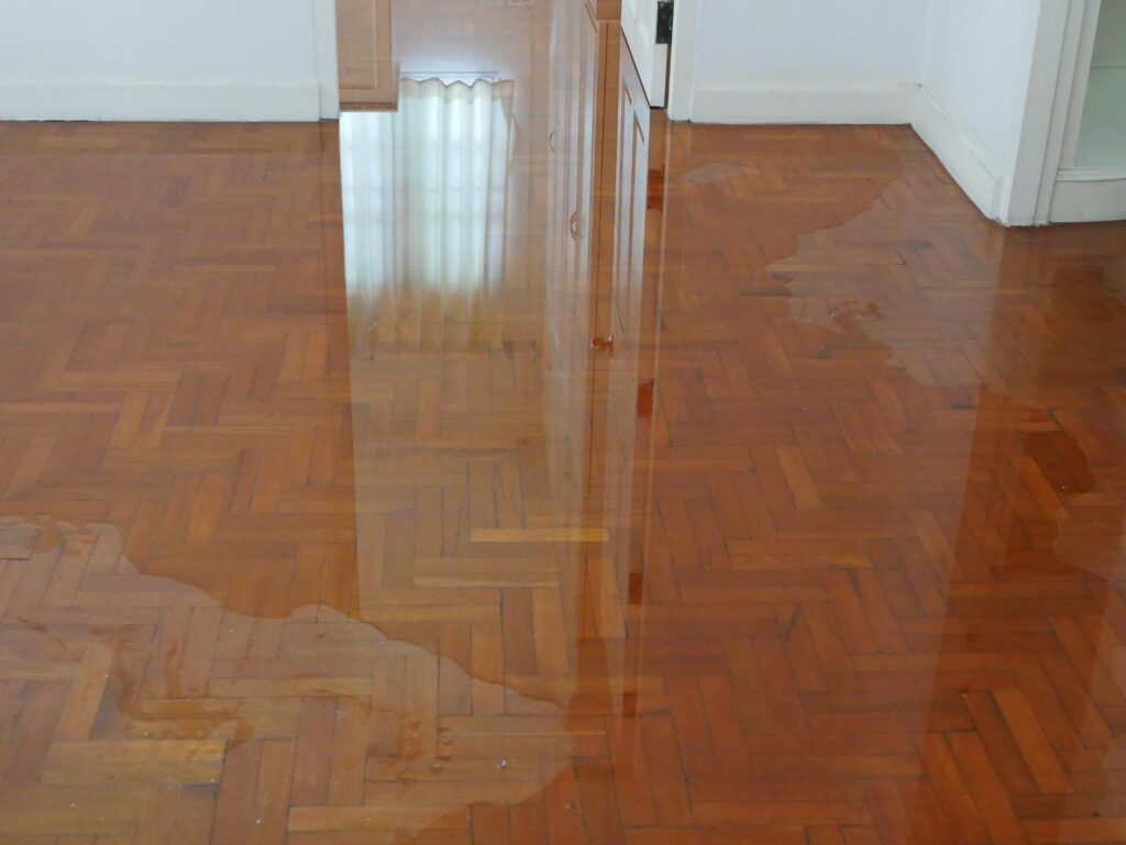 Essential DIY Water Extraction Tips for Homeowners