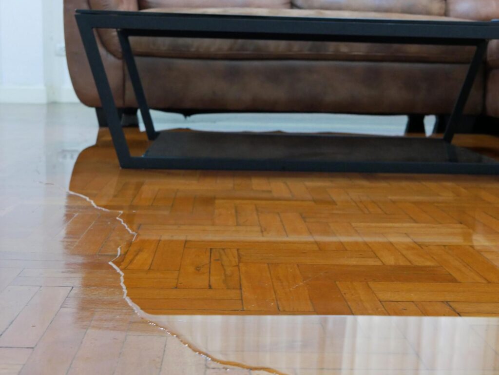 10 DIY Tips for Emergency Water Extraction