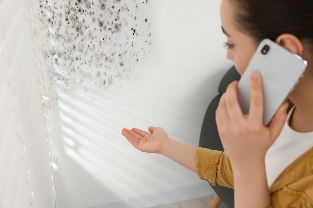 Person on phone pointing at mold growing on a white wall.