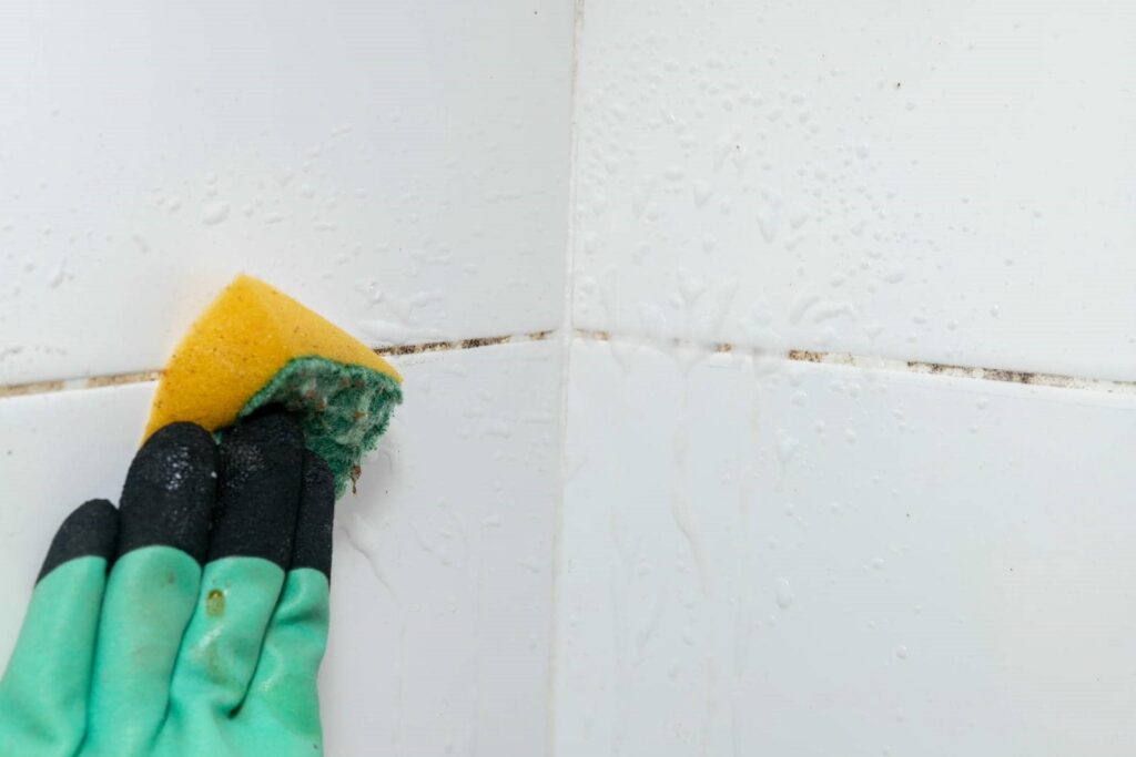 Hand in green and black glove scrubbing moldy grout on white tiled wall with a yellow and green sponge.