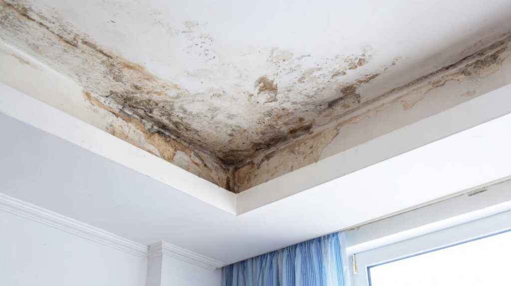 Corner of a ceiling with extensive water damage and mold growth.