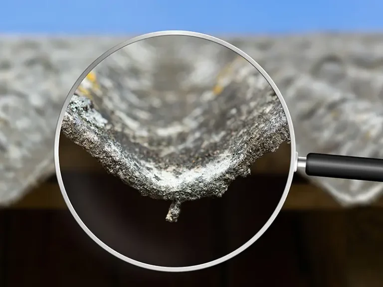 Asbestos testing services