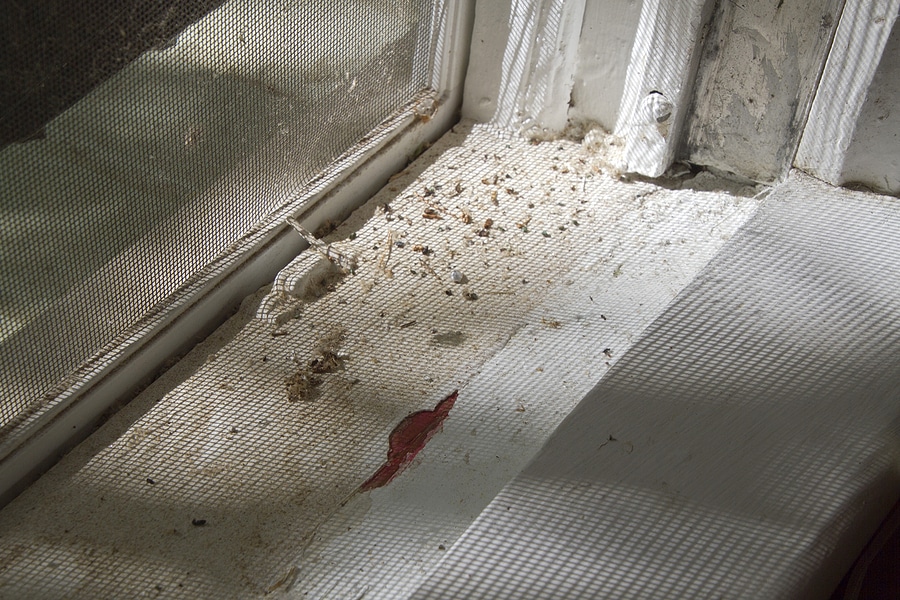 Follow These 6 Steps to Safely Mitigate Lead Found in Your Home (Part 1)